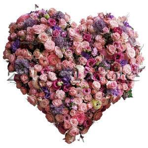 Blumenherz rose violett